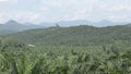 Palm Oil Plantation Over Mountains - Pan - Right To Left 2