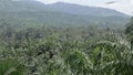 Palm Oil Plantation Over Mountains - Tilt