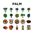 palm oil tree leaf plant icons set vector Royalty Free Stock Photo