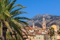 Palm and old town of Menton.
