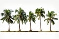 Palm paradise Set of coconut trees stands out on white