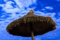 Palm parasol on moonlight beach