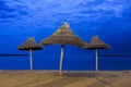 Palm parasols on moonlight beach