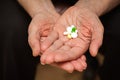 Palm with pills and vitamins Royalty Free Stock Photo