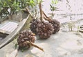 The palm plant. It is located in the subfamily Nypoideae, which has a single genus. The only mangrove species in the mangrove Royalty Free Stock Photo