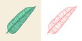 Flowering plants. Tropical or exotic leaves and leaf. Palm plant, Monstera. Vintage fern. Engraved flowers. Hand drawn