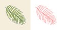 Palm plant. Tropical or exotic leaves and leaf. Vintage fern. Engraved flowers. Hand drawn. Botanical background. Royalty Free Stock Photo