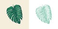 Palm plant. Tropical Monstera. Exotic leaves and leaf. Vintage fern. Engraved flowers. Hand drawn. Botanical background