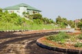 Palm Plants Introduced In Median Plant Box