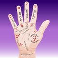 Palm Reading Palmistry