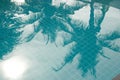 Palm Reflex In A Pool Royalty Free Stock Photo