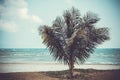 Palm, sand, sea and grass under sky