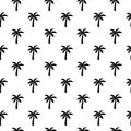 Palm seamless pattern. Repeated palm trees pattern. Black coconut tree isolated on white background. Repeating tropical texture fo Royalty Free Stock Photo