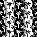 Palm seamless pattern. Repeated palm trees pattern. Black coconut tree isolated on white background. Repeating tropical texture fo Royalty Free Stock Photo