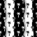 Palm seamless pattern. Repeated palm trees pattern. Black coconut tree isolated on white background. Repeating tropical texture Royalty Free Stock Photo