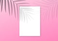 Palm shadow overlay background. Vector transparent palm leaves summer banner Royalty Free Stock Photo