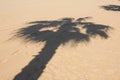 Palm shadow on sand Royalty Free Stock Photo