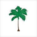 Palm silhouette, exotic symbol, flat style, realistic style