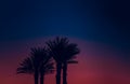 Palm silhouette trees tropic south landscape scenic view majestic and romantic sunset twilight lighting phantom blue and purple Royalty Free Stock Photo