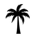 Palm silhouette vector icon