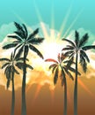Palm silhouettes on summer sun with beautiful sky background. Tropical sunset, summer paradise. Vector illustration. Royalty Free Stock Photo
