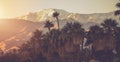 Palm Springs California Panoramic Landscape Royalty Free Stock Photo