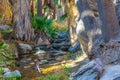 Palm Springs Panorama Royalty Free Stock Photo