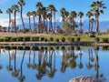 Palm Springs Reflection at Encena Royalty Free Stock Photo