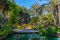 Palm and succulent garden Huerto del Cura in Elche, Spain