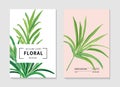 Palm summer tree invitation card template design. Jungle paradise palm leaf in vector set. Hawaii plant isolated card, vintage