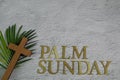 Palm sunday background. Cross and palm on grey background. Royalty Free Stock Photo