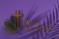 Palm sunday background. Cross and palm on purple background.