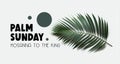 Palm Sunday banner with isolated palm leaf. Hosanna to the King message. Religious celebration, Christian, worship, procession,