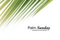 Palm Sunday concept. Hosanna in the highest. With palm leaves isolated on white background. Happy Palm Sunday.