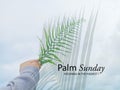 Palm Sunday concept. Hosanna to The Highest. With young woman holding green fern leaf in hand and palm leaves shadow on blue sky