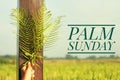 Palm Sunday quote - Happy palm Sunday. Fern or palm leaf in hand on wood, bright and clear blue sky and green field background. Royalty Free Stock Photo