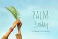 Palm Sunday quote - Hosanna to the highest. Fern or palm leaf in hands on bright and clear blue sky background.