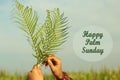 Palm Sunday quote - Happy palm Sunday. With fern or palm leaf in hands on bright and clear blue sky background. Royalty Free Stock Photo