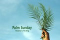 Palm Sunday quote - Happy palm Sunday. Fern or palm leaf in hand on bright and clear blue sky background. Royalty Free Stock Photo