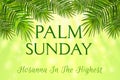 Palm Sunday - greeting banner template for Christian holiday, with palm tree leaves background. Congratulations with