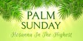 Palm Sunday - greeting banner template for Christian holiday, with palm tree leaves background. Congratulations with