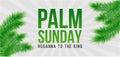 Palm Sunday holiday card, poster with palm leaves border, frame. Vector background Royalty Free Stock Photo