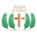 Palm sunday with realstick Royalty Free Stock Photo