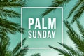 Palm Sunday Holiday Text Illustration Royalty Free Stock Photo