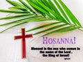 Hosanna in the highest.praise be to god