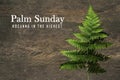 Palm Sunday. Hosanna in The Highest. With green fern leaf on natural rustic wooden table background. Happy Palm Sunday.