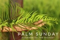 Palm Sunday - Hosanna to The Highest. Palm Sunday concept with green fern or palm leaf in hand on blurry background. Royalty Free Stock Photo