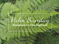 Palm Sunday. Hosanna to The Highest. Happy Palm Sunday concept. On blurry background of green fern leaves