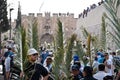 Palm Sunday Procession in Jerusalem Royalty Free Stock Photo