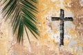 Palm sunday religion and easter holiday concept background Royalty Free Stock Photo